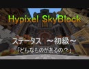 [Hypixel SkyBlock]　ステータス　～初級～　「どんなものがあるの？」