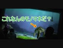 【クイズ】モノマネするクラッシュ【タートルトーク】東京ディズニーシー
