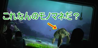 【クイズ】モノマネするクラッシュ【タートルトーク】東京ディズニーシー