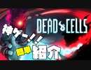 【神ゲー】全難易度クリアしたのでDead Cellsを簡単に紹介します。【Dead Cells】