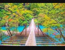 今、永遠であること35　This_Little_Light_of_Mine　E's Jammy Jams