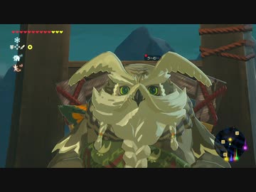 【実況】ハイラルソード　その38