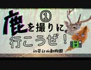 【ゆっくり】鹿を撮りに行こうぜ！①【車載手】in茶臼山動物園