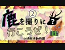 【ゆっくり】鹿を撮りに行こうぜ！②【車載手】in須坂市動物園