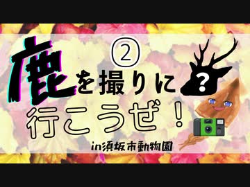 【ゆっくり】鹿を撮りに行こうぜ！②【車載手】in須坂市動物園