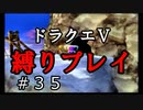 【アルカリ性】前回に引き続き…？26周目の縛りプレイ！【ドラクエ5シーズン1 Part35】