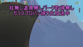 【Noita】ピットボスの出現条件の謎【ニコ生ログ】