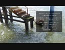 真昼コーリング / Saki