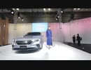 【VR有】大阪モーターショー2019キャンギャル Osaka Motor Show 2019 CamGal #108