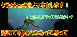 クラッシュのモノマネをするゲスト【タートルトーク】東京ディズニーシー