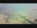 【水中撮影】水中の風景01