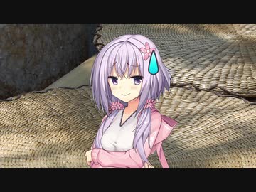 【手抜き祭遅刻】たーまやー