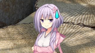 【手抜き祭遅刻】たーまやー
