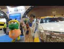 【VR有】大阪モーターショー2019キャンギャル Osaka Motor Show 2019 CamGal #110