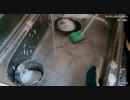 【野田草履】コイランで洗濯後の大量の洗濯物を確認するついでに流し台を掃除していた模様。【ふわっち】