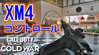 お前もあまいぜと。｜XM4【CoD:BOCW β実況】part5