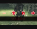 【DARK SOULS Ⅱ】今更始めるダクソⅡ初見実況　part24