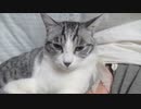アル保護されてました