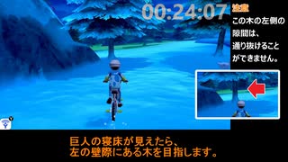 冠の雪原 登頂RTA 2分21秒45【ポケモンソード・シールド】
