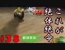 【ピクミン2】油断が後に大きな障害をもたらす【実況プレイ】３８日目