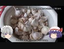 ゆっくり農民145ニンニクを育ててみませんか？＃9