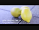 米津玄師のLemonを韓国語で歌ってみた！