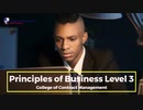 Principles of Business Level 3
