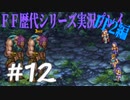 ファイナルファンタジー歴代シリーズを実況プレイ‐FF2編‐【12】