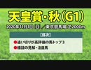 【天皇賞秋2020予想】追い切り好調馬と狙うべき鉄板軸馬を公開！！