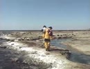 水曜どうでしょう×この幸せが夢じゃないなら