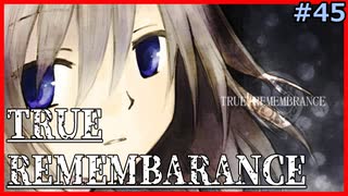 【TRUE REMEMBRANCE】-2周目- 野良猫とワンピース【Vtuber】#45
