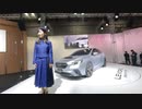 【VR有】大阪モーターショー2019キャンギャル Osaka Motor Show 2019 CamGal #179