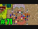 【飲酒実況】 Stardew Valley part71 【modあり】