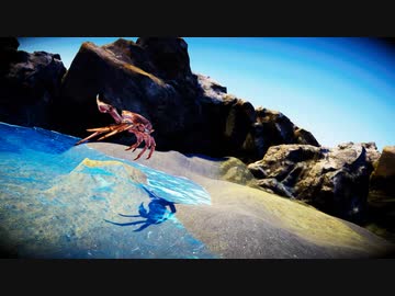 【訛り実況】カニノケンカ -FIGHT CRAB- 【PLAYISM】