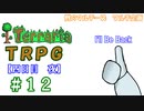 例のマルチーズで遊ぶ　Terraria　TRPG　＃１２　[四日目　夜]