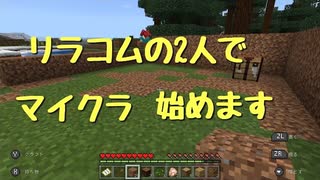 今更マイクラ始めてみました！【switch版】