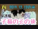 【子猫】保護して3日目の夜は更に変化がありました