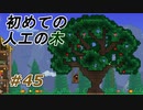 【実況】凄い家を造りたくて【PC版テラリア】Part45