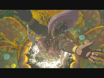 【実況】ハイラルソード　その39