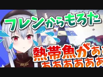 フレンの遺品からパクった熱帯魚を秒で死なせてしまう葉加瀬