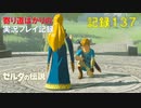【寄り道ばかりの】ゼルダの伝説BotW【実況プレイ記録137】ＥＸ装備装備と１１枚目