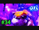 【＃34】Ori and the Will of the Wisps 【じっくりと実況】