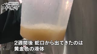 パンの耳からビール！？　驚きの食品ロス対策