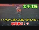 あつまれどうぶつの森　１１月から捕れる海の幸まとめ！北半球編！　【あつ森】