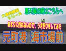 ＜大島釣旅記＞釣り動画ロマンを求めて 371釣目 （元町港 海市場前※ 2日目 午前）