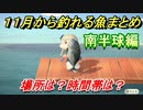 あつまれどうぶつの森　１１月から釣れる魚まとめ！釣れる場所と時間帯も紹介！南半球編！　【あつ森】