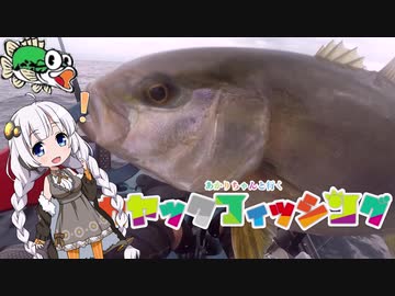 【VOICEROIDフィッシング】あかりちゃんと行くカヤックフィッシング第6話