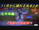 あつまれどうぶつの森　１１月から捕れる虫まとめ！捕れる場所と時間帯も紹介！北半球編！　【あつ森】