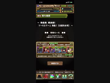 パズドラ ソール マーニ降臨壊滅級 陣ループ編成 ニコニコ動画