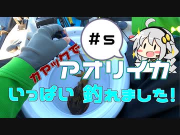 カヤックフィッシング　＃５　カヤックでアオリイカが釣れました！【VOICEROIDフィッシング】